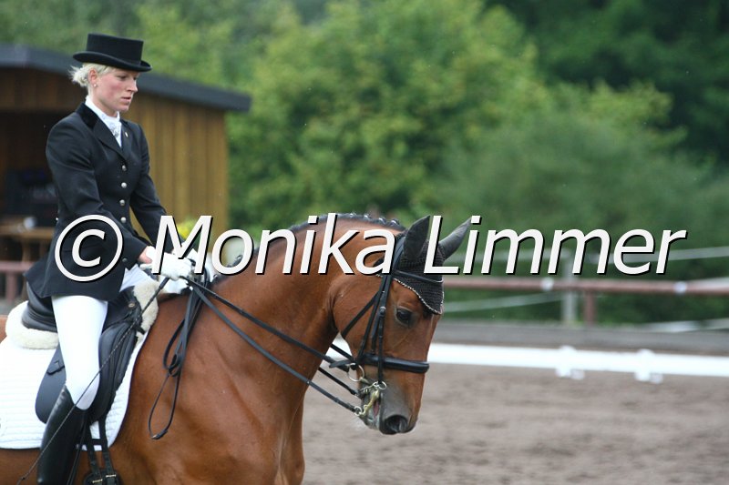 009M8097_Enrico_Dressur M.JPG